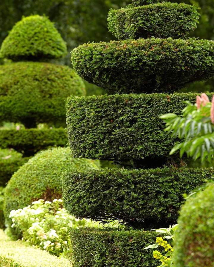 Entretien de jardins Conflans-Sainte-Honorine