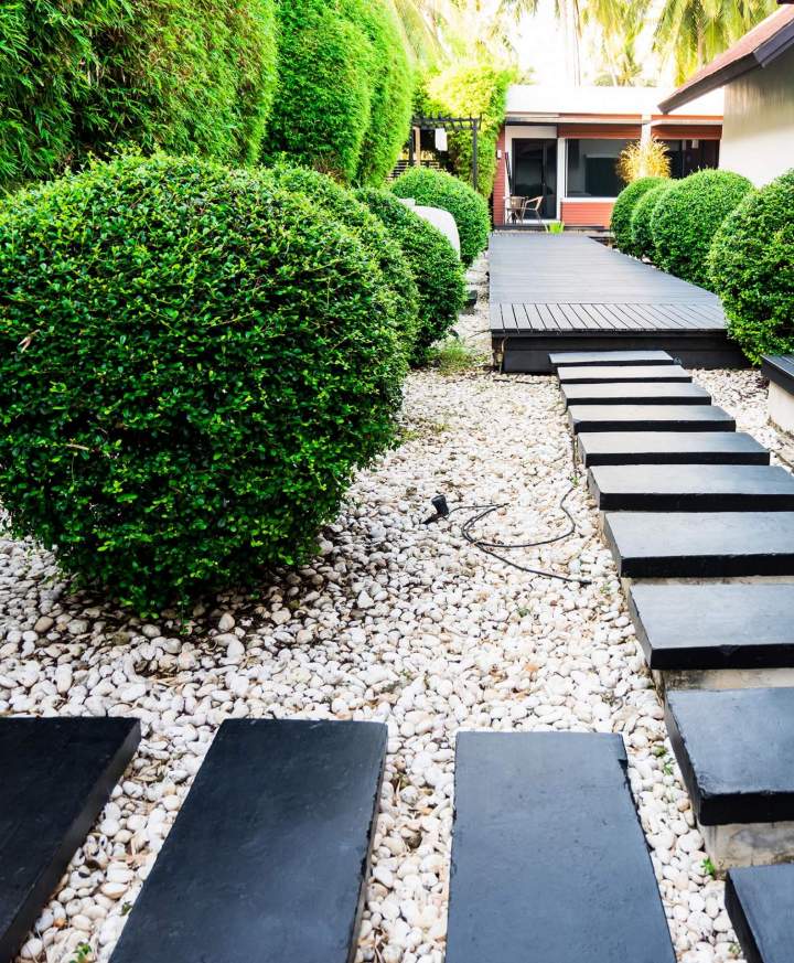 Travaux d'entretien de jardin Conflans-Sainte-Honorine