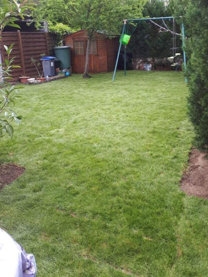 Une entreprise de pose de pelouse près de Conflans-Sainte-Honorine